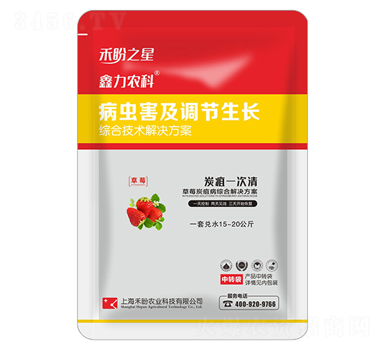 草莓炭疽病綜合技術方案-炭疽一次清-禾盼之星-禾盼農業