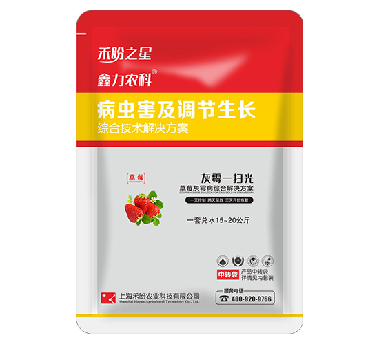 草莓灰霉病綜合技術方案-灰霉一掃光-禾盼之星-禾盼農業