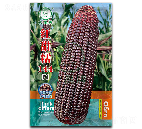 紅甜糯144玉米種子-大禹種業