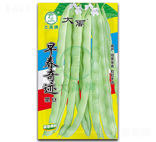 早春奇跡-架豆種子-大禹種業