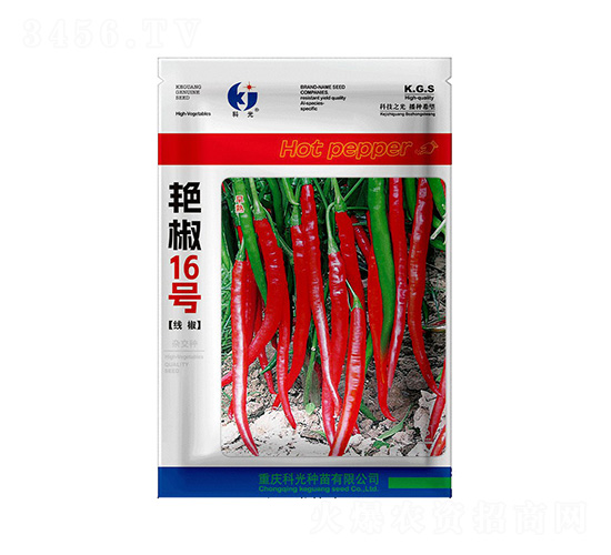 艷椒16號-科光種苗