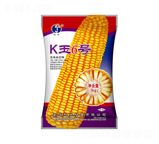 K玉6號-科光種苗