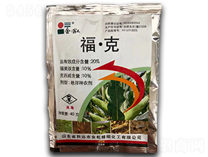 20%ˑҸN40g--r̩