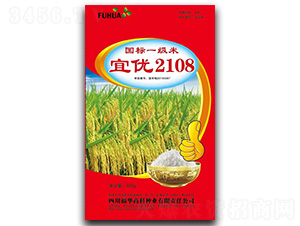 ˃2108-ˮN-A߿