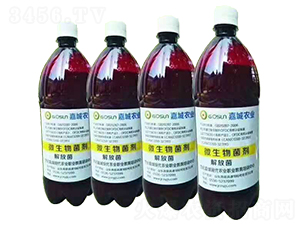 微生物菌劑-解放菌-嘉城農業