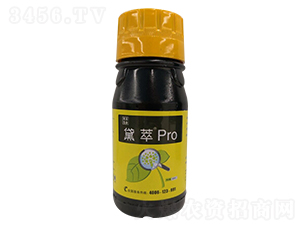 ֲ~-Pro-ɫB