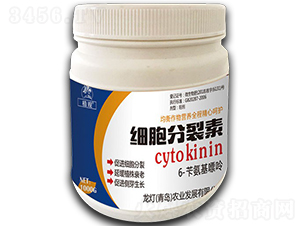أ1000g-ֲ^-rI 