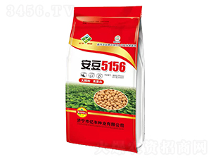 6kg5156-󶹷N-|SNI