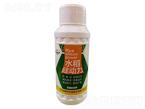 水稻硅動力-為峰肥業