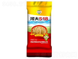 Ӵ518-СN-ԥNI