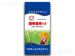 庵13СNӣ-ZмZ-ڷNI