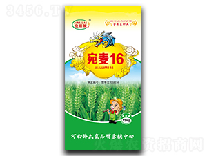 16СNӣ-ϣR-ڷNI