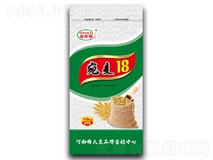 18СNӣ-ϣR-ڷNI