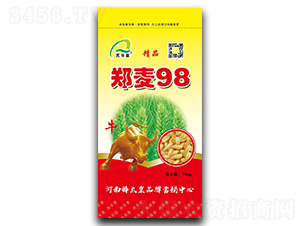 98СNӣ--ڷNI