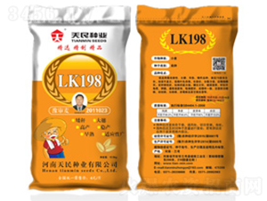 m198LK198S-СN-NI