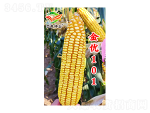 101-׷N-hNI