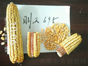 695-׷N-NI