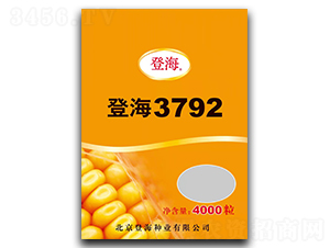 Ǻ3792-׷N-ԬrI