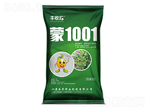 1001-󶹷N-ʥSNI