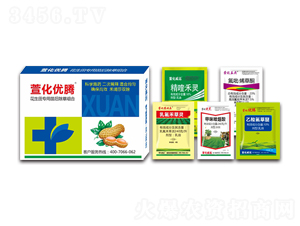 ݽM-滯v-滯h