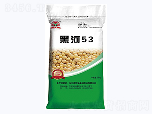 ں53-󶹷N-LǷNI