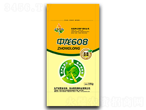 608-󶹷N-hNI