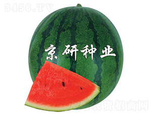 2̖-ϷN-зNI