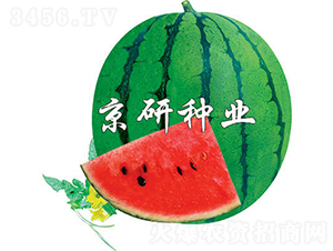 3̖-ϷN-зNI