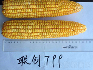 799-׷N-NI