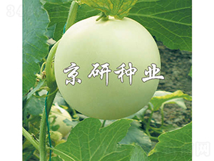 1̖-ϷN-зNI