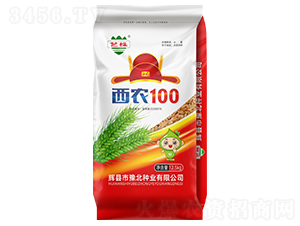 r100СN-ԥNI