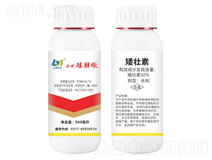 50%-ֶ-䌍I