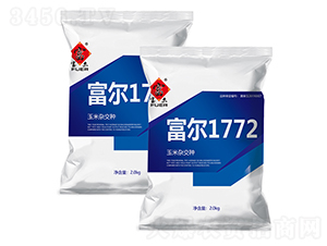 1772-׷N-rˇ