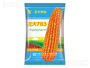783-׷N-NI