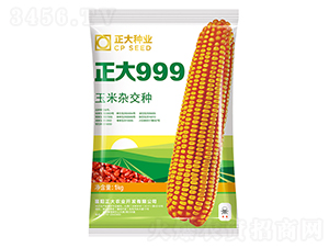 999-׷N-NI