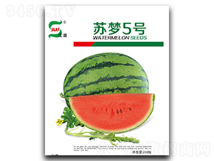 K5̖-ϷN-ANI