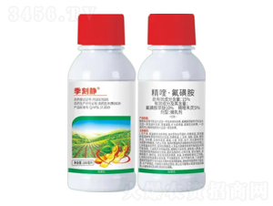 15%ୡǰ-o-ZrI