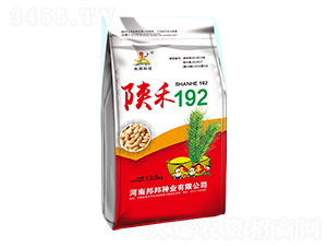 ꃺ192СN-NI