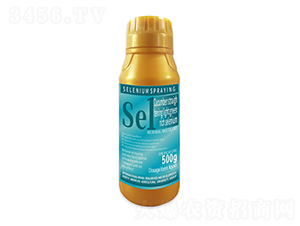 500gSֱG-1̖-r