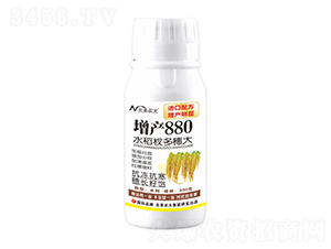 300gˮ辶-a880-r