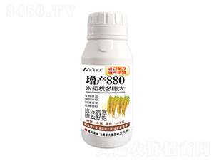 500gˮ辶-a880-r