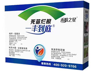 砀һS-֮-rI