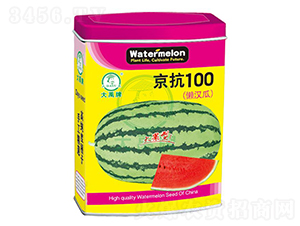 100ϷN-NI