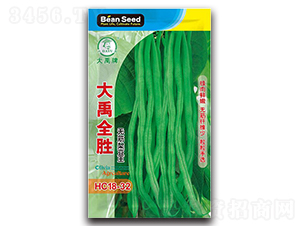 大禹全勝-架豆種子-大禹種業