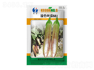 渝竹絲茄881-科光種苗
