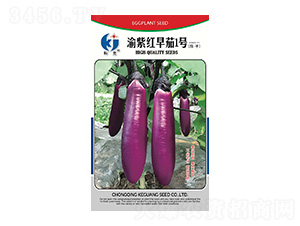 渝紫紅早茄1號-科光種苗
