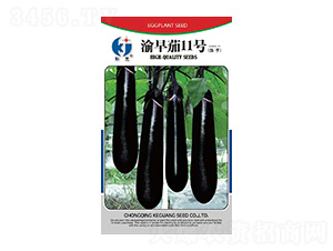 渝茄12號-科光種苗