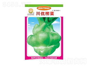 ե˷N-(yu)ե-̫(l)NI(y)
