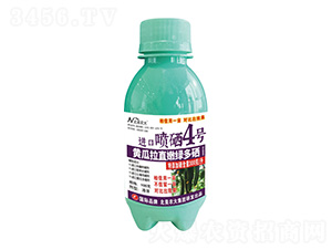 100Sֱ۾GMڇ4̖-r
